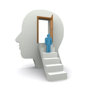 cerveau