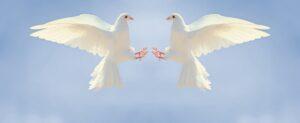 accompagnement psychospirituel